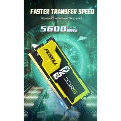 Dr. Phone-Elementkey UltraFast - 32GB Ram - DDR5 - 5600Mhz - SoDimm - Premium Chip - Geschikt voor Notebook / PC / Laptop€ 149,95€ 123,93ElementkeyRAM