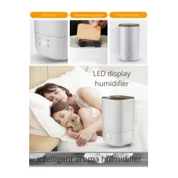 Dr. Phone-DrPhone SmartFog – USB Aroma Stille Luchtbevochtiger met LED Display – Humidifier – Automatische vochtigheidsdetectie€ 69,95€ 57,81Luchtreiniger / Luchtbevochtiger