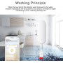 DrPhone DETECT1 – Wifi Waterlek sensor – Detecteert overstromingen – Compatibel met Amazon Alexa en Google Assistant